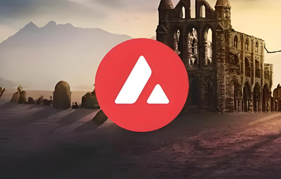 ANON币价格为7.65美元 ANON币前景怎么样